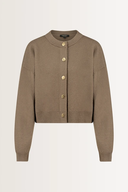 Boxy wolvest