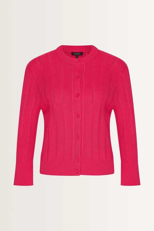 Fijngebreid vest ajourrib