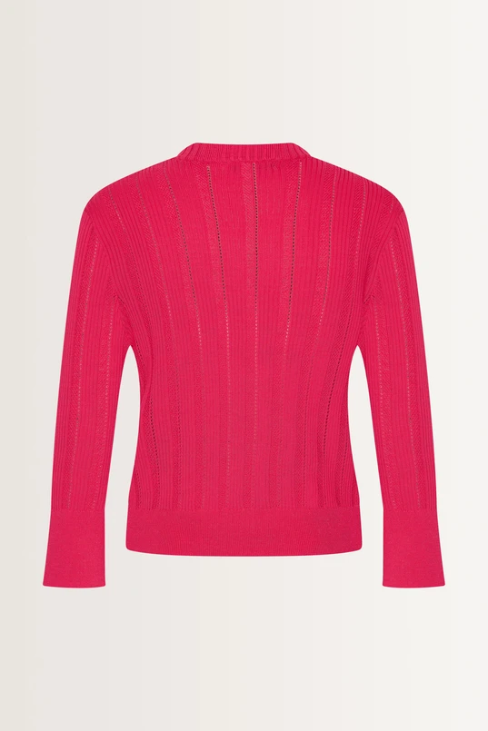 Fijngebreid vest ajourrib