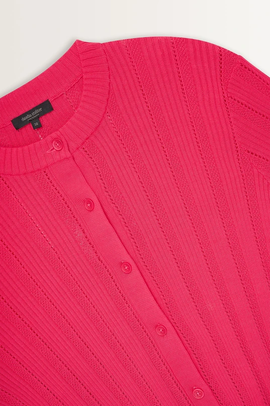 Fijngebreid vest ajourrib