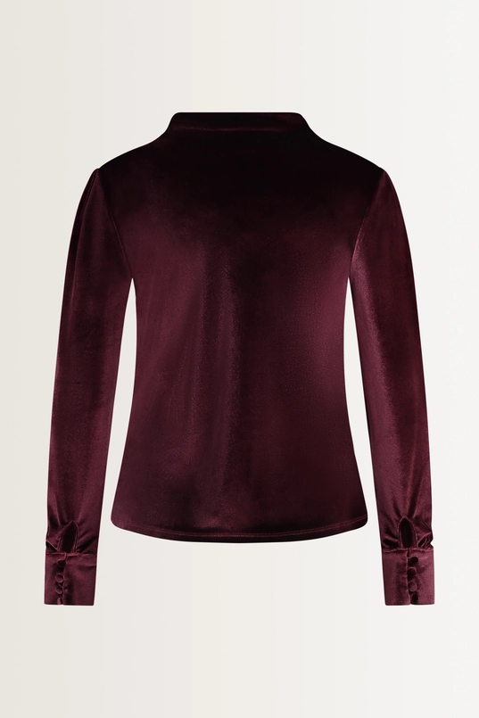 Fluwelen gedrapeerde hals top