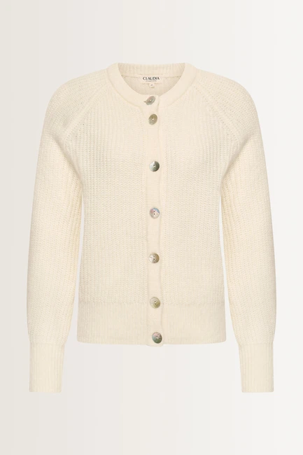 Gebreid vest met parelmoerknopen