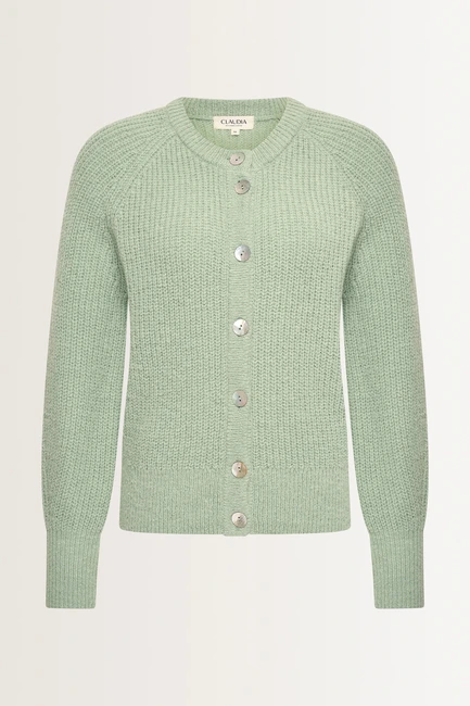 Gebreid vest met parelmoerknopen