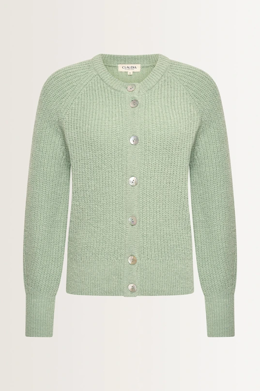 Gebreid vest met parelmoerknopen