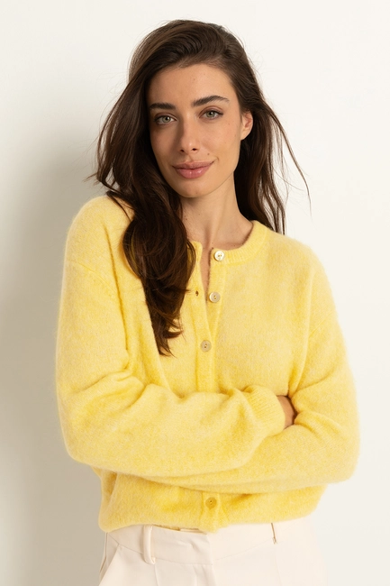 Gebreid vest van alpacawolmix