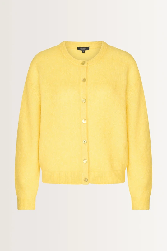 Gebreid vest van alpacawolmix