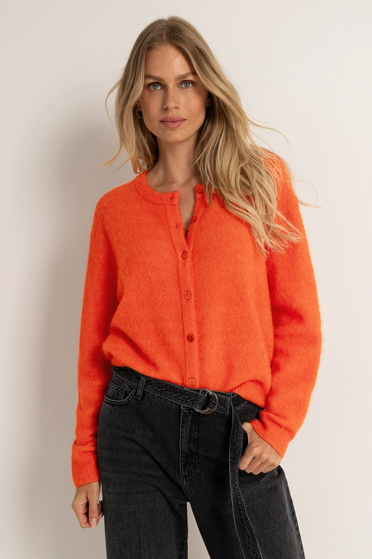 Gebreid vest van alpacawolmix