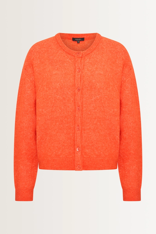 Gebreid vest van alpacawolmix