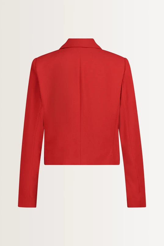 Getailleerde cropped blazer