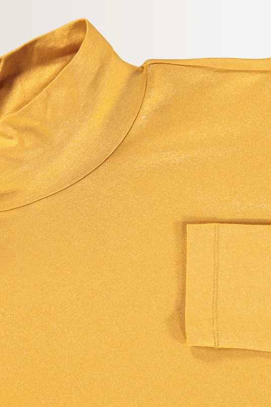 Metallic turtleneck top