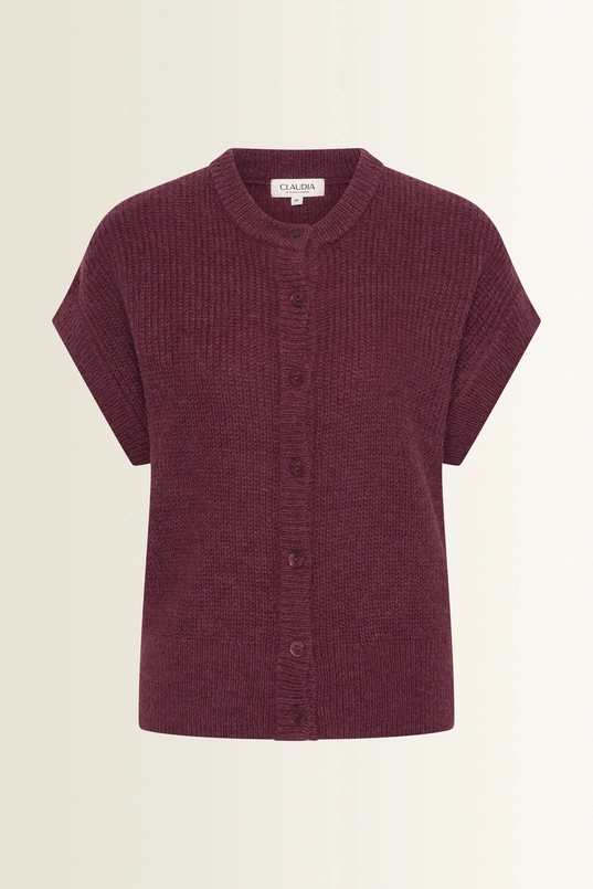 Mouwloos vest in zachte alpaca-wolmix