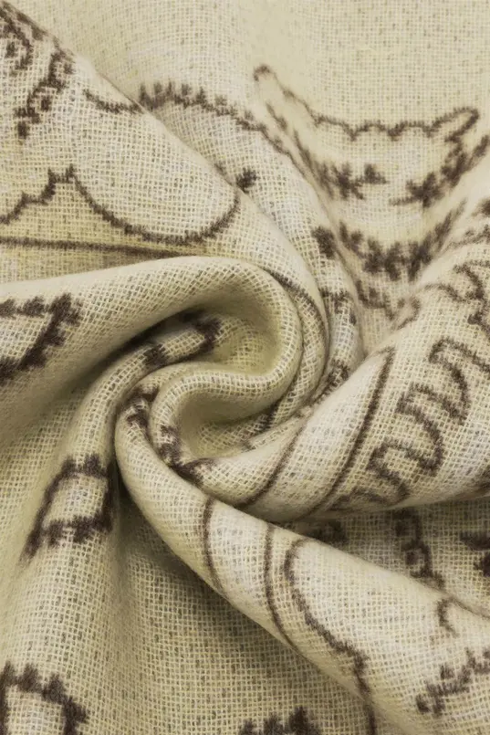 Shawl met paisleyprint en franjes FRAAS