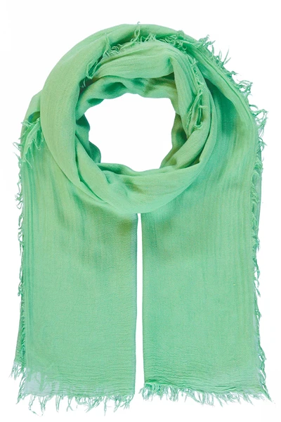 Shawl