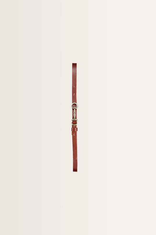 Smalle riem met goudkleurige bit-gesp