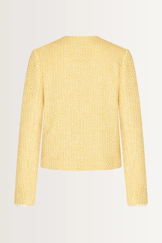 Tweedlook blazer franjedetails