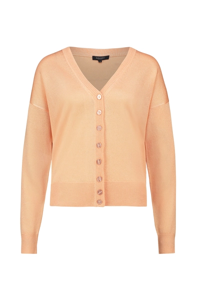 V-hals vest