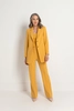 Verlengde blazer