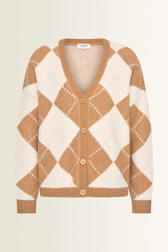 Vest met argyle ruitdessin