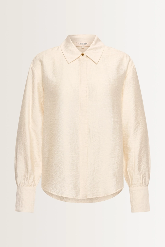 Viscosemix blouse met glans