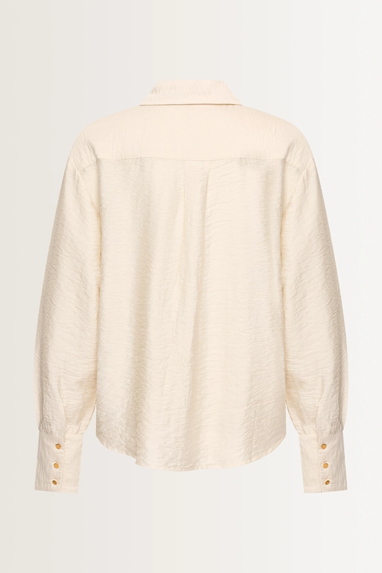 Viscosemix blouse met glans