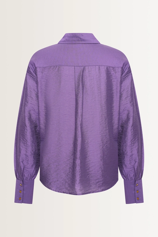 Viscosemix blouse met glans