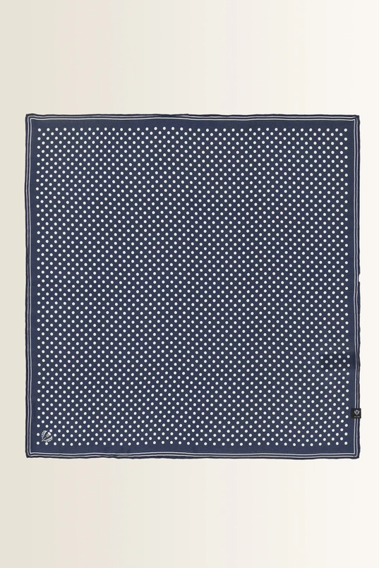 Zijden shawl met stippenprint Fraas
